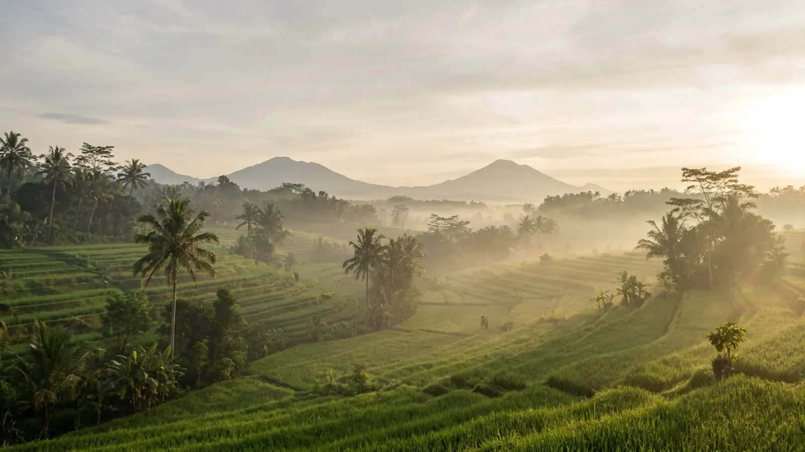 Serene Balinese rice paddies at sunrise, a gentle mist rising over the terraces.